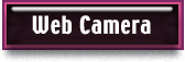 Web Camera Systems